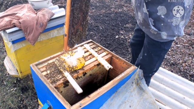 Помощь слабым семьям, профилактика от заболеваний