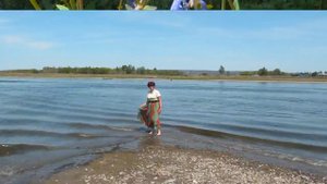 Расцветало лето ранним утром