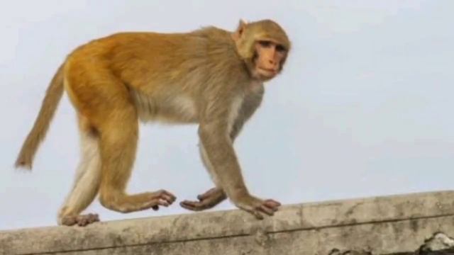 ನಮಗೆ ಬರುವ ಸಮಸ್ಯೆ ಗಳಿಗೆ ಸುಲಭ ಹಾಗೂ ಸರಳ ಪರಿಹಾರಗಳು