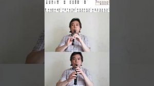 “The Wind Blows” LittleSax/Mini Sax/Xaphoon/Pocket Saxophone/Pocket Sax/HiXing Tin Irish Whistle 大风