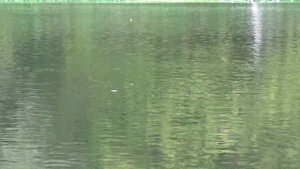 Осенняя рыбалка на реке болонкой  Новое место  отличный улов карась плотва