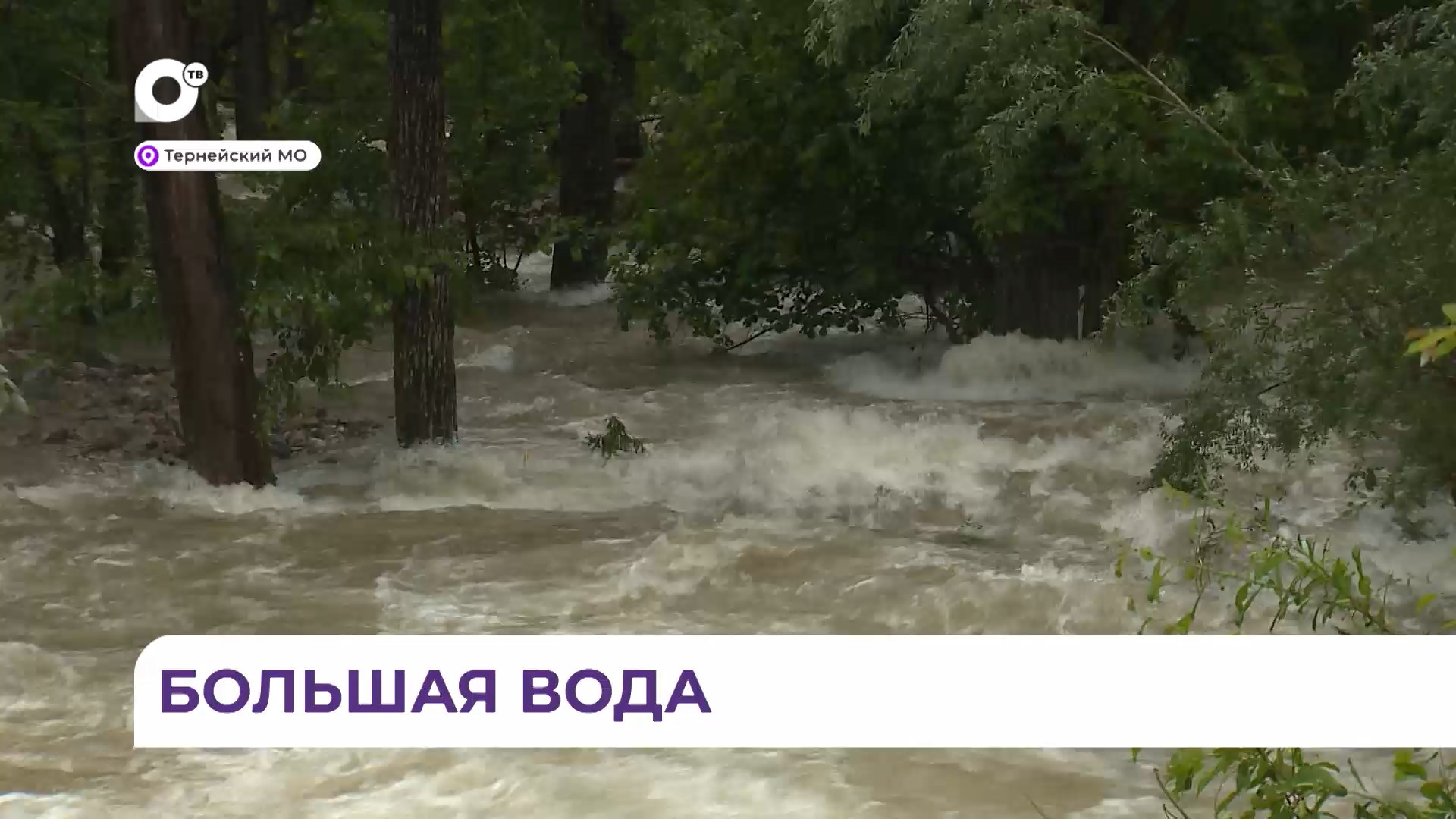 Циклон в приморье сегодня последние новости. Циклон в Приморье сейчас. Циклон в Приморье сегодня последние. Последствия циклона в Приморье сегодня. Последствия тайфуна в Тернейском районе видео.