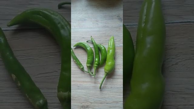 КТО СКАЖЕТ ЧТО ЗА СОРТ ПЕРЦА? смотреть онлайн