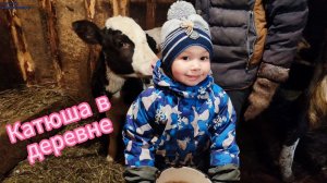Поездка к бабушке в деревню