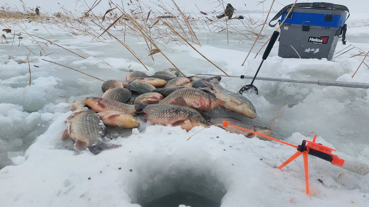 ПЕРВАЯ УДАЧНАЯ РЫБАЛКА С НОЧЕВКОЙ КРУПНЫЙ КАРАСЬ ! ПРОТЕСТИЛ НОВЫЕ МОРМЫШКИ! смотреть онлайн