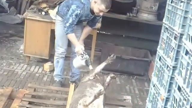 Отрывок из жизни разделывание свиньи DJ rybik смотреть онлайн