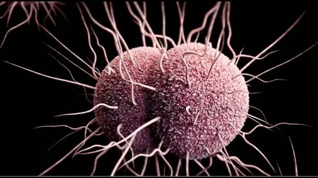 Cassian - React (Extended Mix) смотреть онлайн