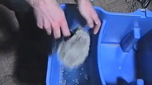 Как заработать на уборке после ремонта. Бригада уборщиков. Работа уборщицы, мойка