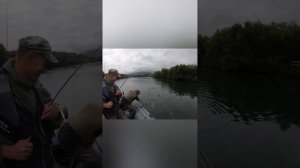 Рыбалка на реке Паратунка.Камчатка.  Fishing
