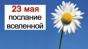 ПОСЛАНИЕ ВСЕЛЕННОЙ на 23 мая.