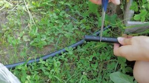 Капельный полив своими руками