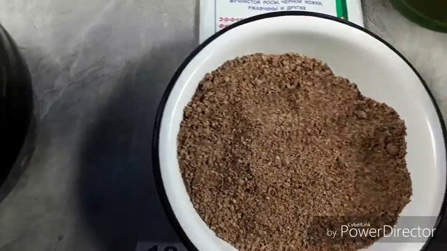 рассада партенокарпических огурцов смотреть онлайн