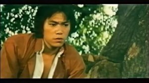 Шаолиньские Кулаки Богомола и Когти Тигра / Mantis Fists and Tiger Claws of Shaolin