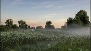 Утро в деревне.Приятные расслобляющие звуки села