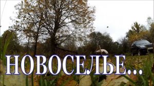 Птичье хозяйство // Индюшатник - новоселье // Цыплята // Жизнь в деревне