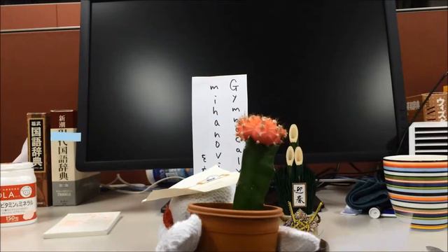 謎の生物Gymnocalycium mihanovichiiの神秘に包まれた生態に迫る смотреть онлайн