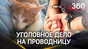 Уголовное дело завели на проводницу, которая выбросила кота Твикса на мороз из поезда