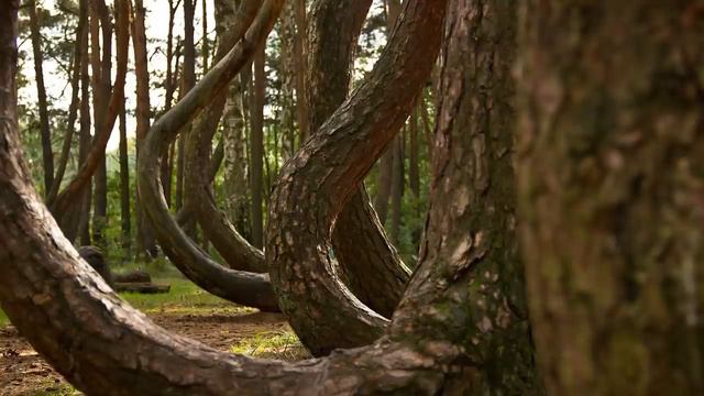 10 Мест на Земле, Которые Невозможны с Научной Точки Зрения смотреть онлайн