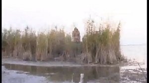 Шнекоход Архелон-1