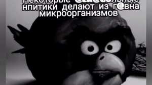 Ты услышал этот факт (часть 3):