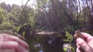 Снова верховья речушки, щучки