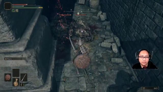 Let's play Elden Ring - Ep. 14 - I speak chipmunk, find a very pointy sword, a Knight learns to fly смотреть онлайн