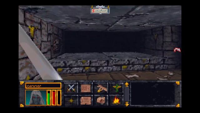 Elder Scrolls Arena imperial dungeon speedrun any% смотреть онлайн