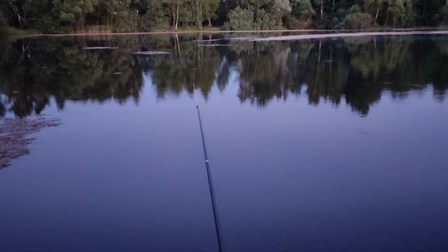 Рыбалка в Павловском Посаде на карася 2022 смотреть онлайн