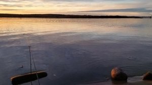 Кострома рыбалка на ночного хищника