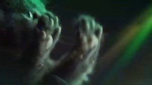 Кошачья вечеринка