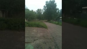 Детский квадроцикл 110 cc Omaks
