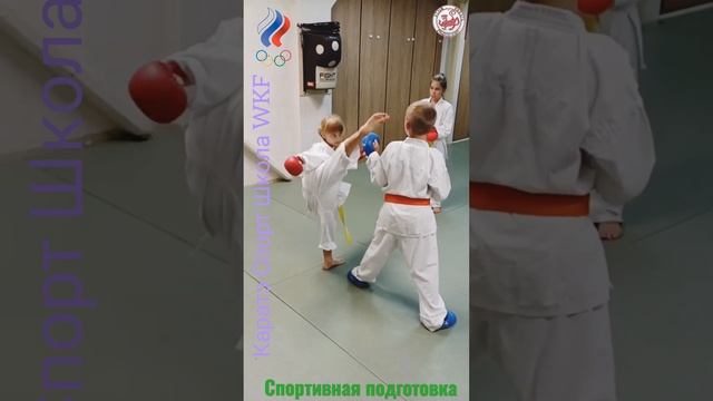 Каратэ Спорт Школа персональная подготовка Чемпионов