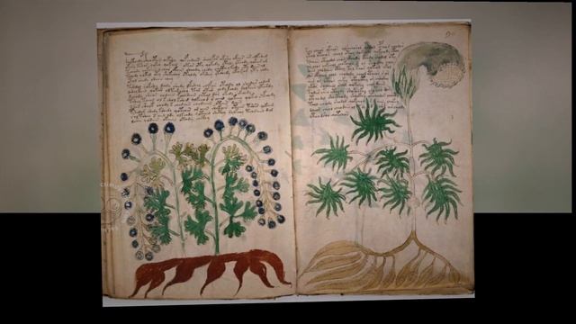 Загадочные и порой мистические факты#Знаете ли Вы, что  ؟