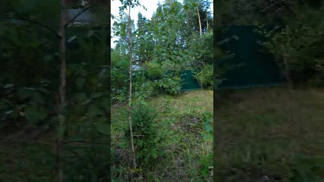 дача 9 соток с домиком в Новофрязино. смотреть онлайн