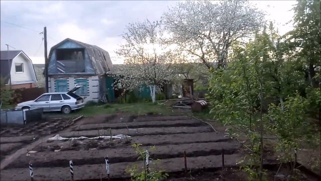 Клещи на даче!!!!Клещи за 200 000 р