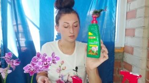 Bona FORTE для ОРХИДЕЙ ВКУСНЯШКА или КАКАШКА ? мой личный опыт