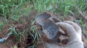 Сигналы и находки с Minelab X-TERRA 705