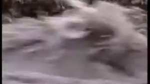 Ваххабизм в Дагестане . Религия или рэкет .