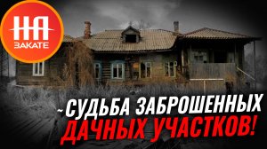 У россиян начнут изымать заброшенные дачи и участки