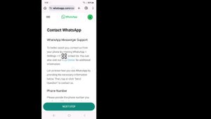Как сбросить PIN-код двухэтапной аутентификации WhatsApp без электронной почты (2024)
