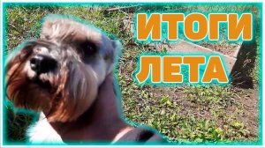 Итоги лета.Покупка котла Неделька КО-60 и Бетономешалки ЗУБР  и бетонирование опалубки и фундамента