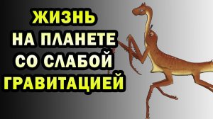 Животный мир в условиях слабой гравитации | Спекулятивная биология