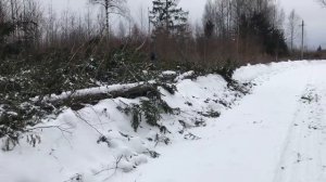 Женские будни в деревне. По хозяйству//еще подарок на 8 марта//что выросло?