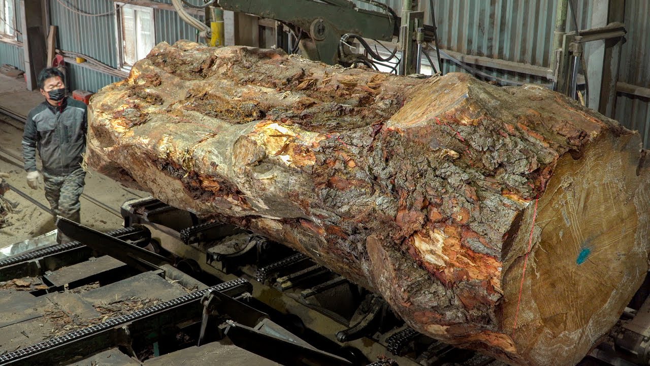 Превращение гигантского дерева в дорогой обеденный стол. 4К - 1ЖЖ