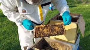 Увеливачиваю улей у 6ой семьи