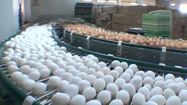 Птицефабрика Иртышская