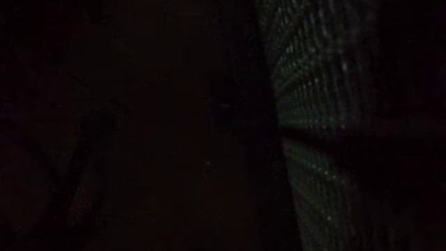 Fender champion 20 смотреть онлайн