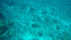 3/3 На самодельном плоту из бамбука по островам Raja Ampat | Индонезия, Раджа-Ампат