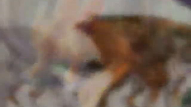 Кто ты из мифических существ по месяцу рождения смотреть онлайн