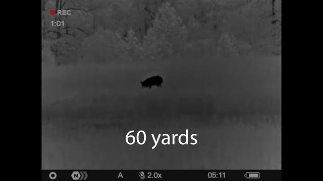 Pulsar Axion 2 XQ35 Pro смотреть онлайн